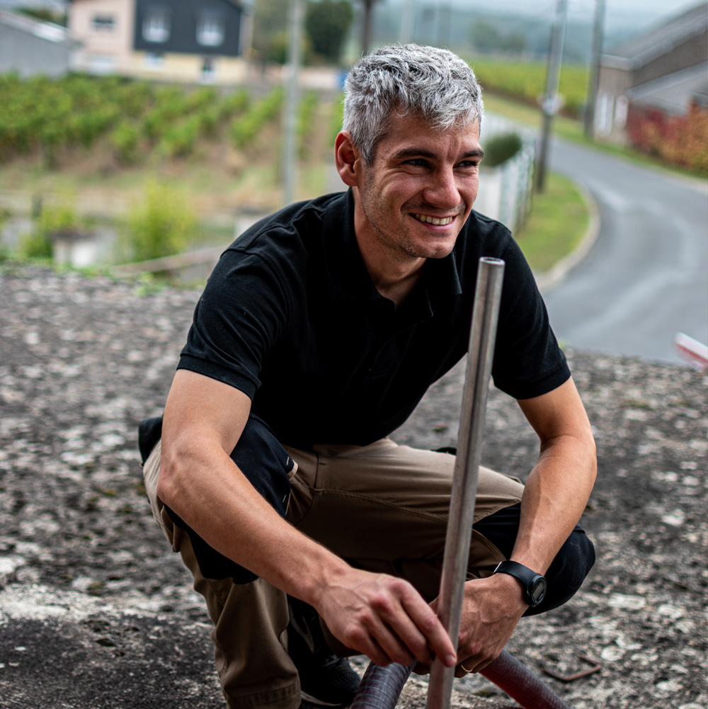Domaine Vignoble Lecointre, Château la Tomaze