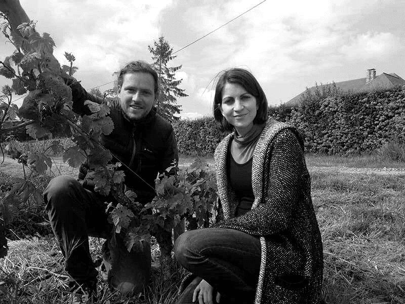 Domaine Dhommé