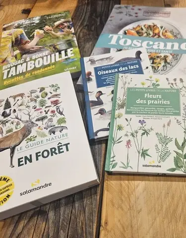 Les conseils lecture de l'été !