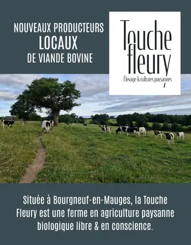 Nouveaux producteurs LOCAUX de viande bovine !