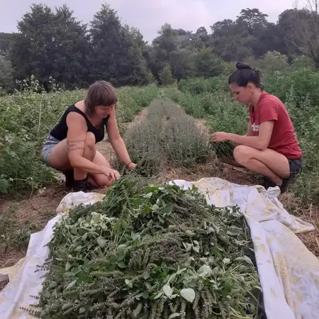 Disamare - Giulia Ciaghi et Charline Dromzée