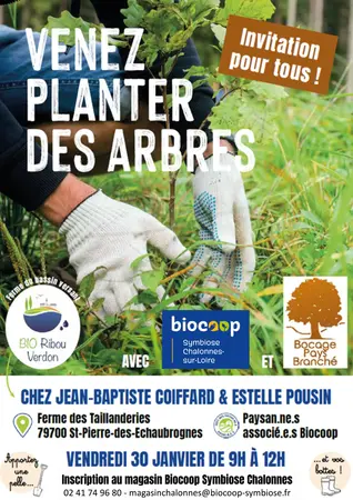 Venez planter des arbres !