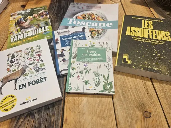 Les conseils lecture de l'été !
