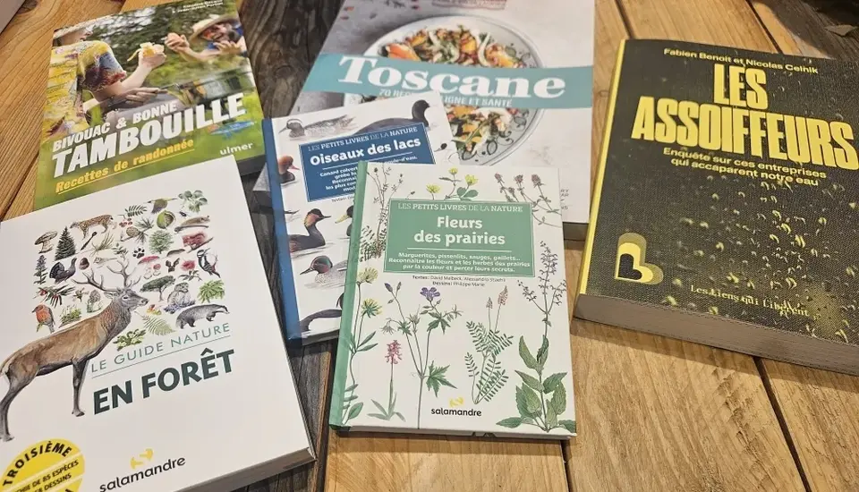 Les conseils lecture de l'été !