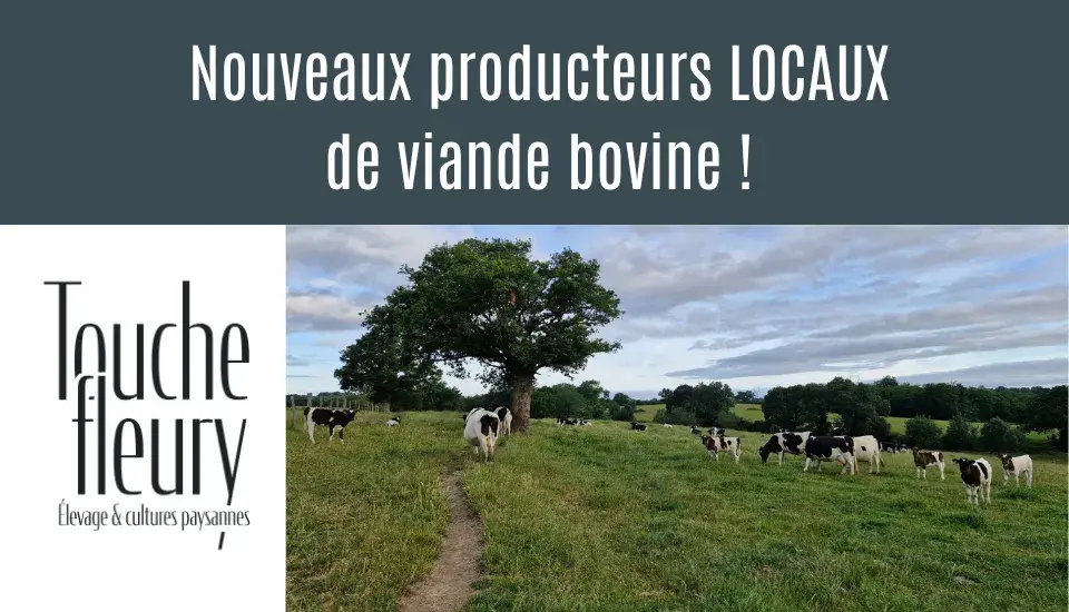 Nouveaux producteurs LOCAUX de viande bovine !